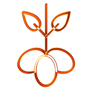 Djowda logo